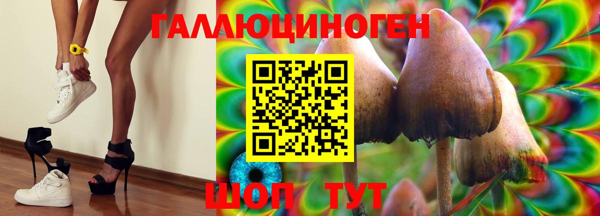 Псилоцибиновые грибы прущие грибы  Вход с VPN  Борзя  Псилоцибиновые грибы прущие грибы 